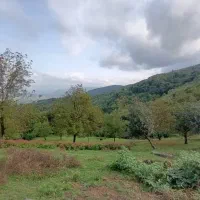 300مترزمین-مسکونی-چاخ-رضوانشهر