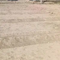 زمین مزروعی در کمربند غربی