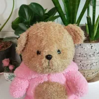 عروسک پولیشی مستقیم از تولیدی