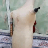 فروش نی انبان نو