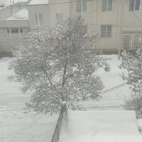 دربستی به شهر های اطراف