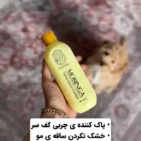 شامپو مورینگا