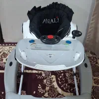رروئک دلیجان