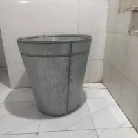 کل پسته شوری