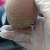 خدمات زیبایی ناخن و اسپا روسی بصورت کاملا حرفهای|خدمات زیبایی و سلامت|شیراز, عفیفآباد|دیوار