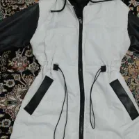 یک عددبارونی یک عددپالتوزنانه