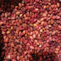 ذغال  خشک دودی