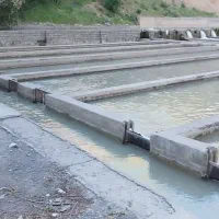 کارگاه-پرورش-ماهی
