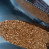 ارزن قرمز و زرد خارجی