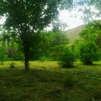 باغ|فروش خانه و ویلا|کلات (خراسان), |دیوار