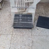 قفس بزرگ