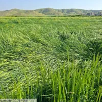 مدارک گمشده (کارت ملی)