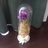 باکس گل کاکتوس طبیعی و گلدان گل|گل و گیاه طبیعی|تهران, شهرک دریا|دیوار