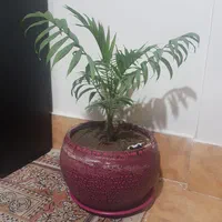 آموزش زبان انگلیسی