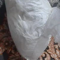 کره بز