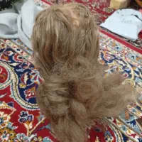 مایکن تازه هست نقد باید پرداخت کنید