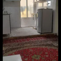 همخونه-خانم