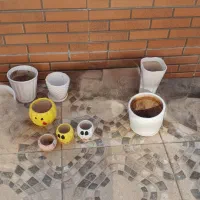 تعدادی گلدون ۸ تا