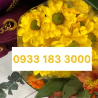 رایتل|سیم‌کارت|بندر انزلی, دهکده ساحلی|دیوار