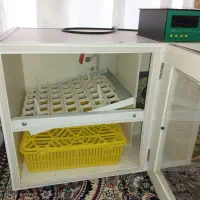 دستگاه جوجه کشی