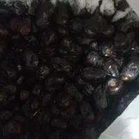 خرما مضافتی