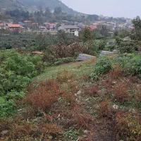 زمین ویلایی با موقعیت عالی در کانرود|فروش زمین و ملک کلنگی|لوندویل, |دیوار