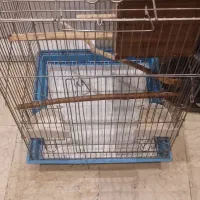 قفس ۲۰۲۳