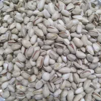 پسته احمد اقایی