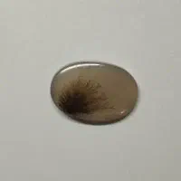 سنگ شجر سوزنی و صور