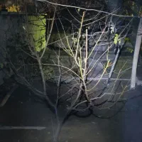 چراغ قوه|لامپ و چراغ|مراغه, |دیوار