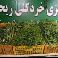 سبزی