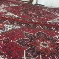 یک جفت فرش دست بافت|فرش|عجب شیر, |دیوار