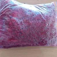 اناردون ترش جنگلی گیلان