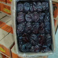 مرکز خرما عسل