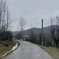 زمین مسکونی/۱۷۷مترمربع/ویو جنگل های خانه های آسیاب|فروش زمین و ملک کلنگی|آستارا, |دیوار