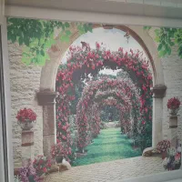 نصاب کاغذ دیواری پوستر ،قرنیز ، فروش(سطح شهر)