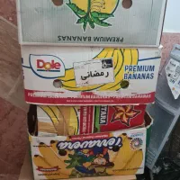 کارتن موزی
