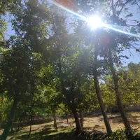 فروش باغ ویلایی دراسکو|فروش زمین و ملک کلنگی|اسکو, |دیوار