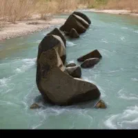 پیدا شده