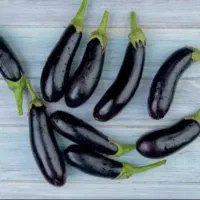 بادمجان ریز و درشت شیرین،بلال شیرین(داوطلبانه)|خوردنی و آشامیدنی|پاکدشت, پاکدشت (مامازند)|دیوار