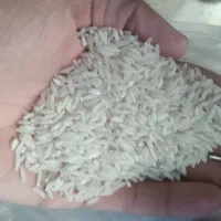 فروش فوری برنج طارم هاشمی
