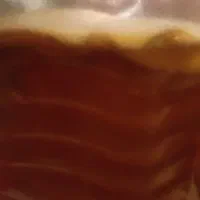 قارچ کامبوجا جهت درمان