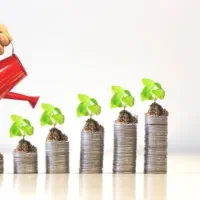 نیازمند یکنفره سرمایه گذار خانم یا آقا