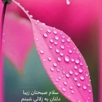 مشاوره راهنمایی اشتغال زایی