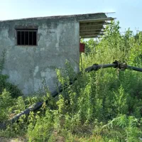 زمین-کشاورزی-به-متراژ-ده-هزار-متر-مربع