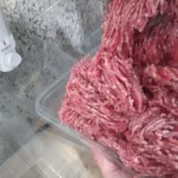 سنگدان تازه و منجمد شمش شده|خوردنی و آشامیدنی|هشتگرد, شهرک ولیعصر (مصلی)|دیوار