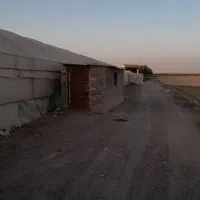 گلخانه فلزی ۴۰۰۰ هزار متر