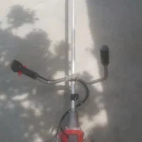 علف زن دوشیبرند دیانا