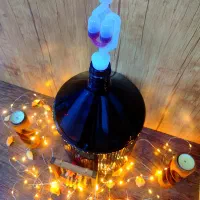 بطری شیشه ای بزرگ ۱۲ لیتری قرابه قفل هوا درب استیل|ظروف نگهدارنده، پلاستیکی، یکبارمصرف|تهران, شهرک طالقانی|دیوار