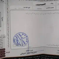 معاوضه ۱۱۱ مدل ۹۹ با ۲۰۷ مشکی|خودرو سواری و وانت|مشهد, کوثر|دیوار